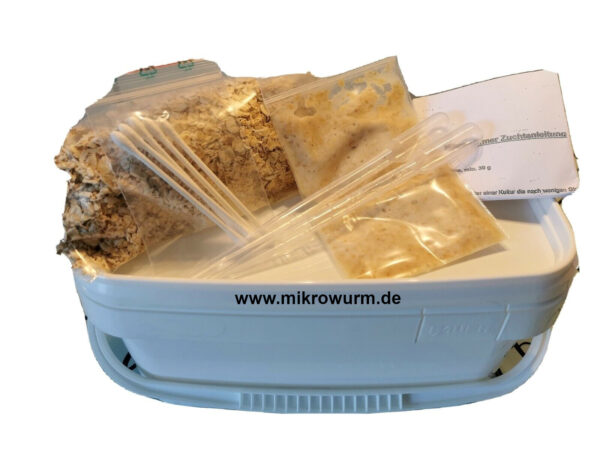 Mikrowürmer Zuchtset Zuchtansatz Lebendfutter