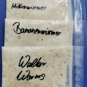 mikrowürmer-walterworms-bananenwürmer