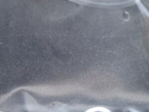 100ml Pantoffeltierchen (Paramecium) Zuchtansatz